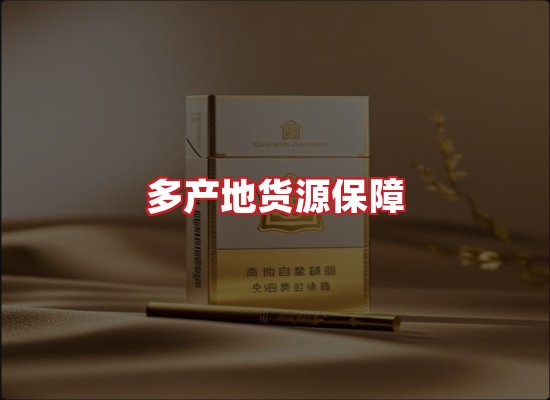 专业团队